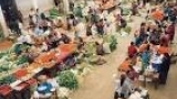 世界の市場「ドイツ、韓国」　