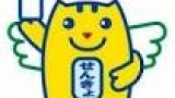衆議院小選挙区選出議員選挙　政見放送「愛知県」（一部）